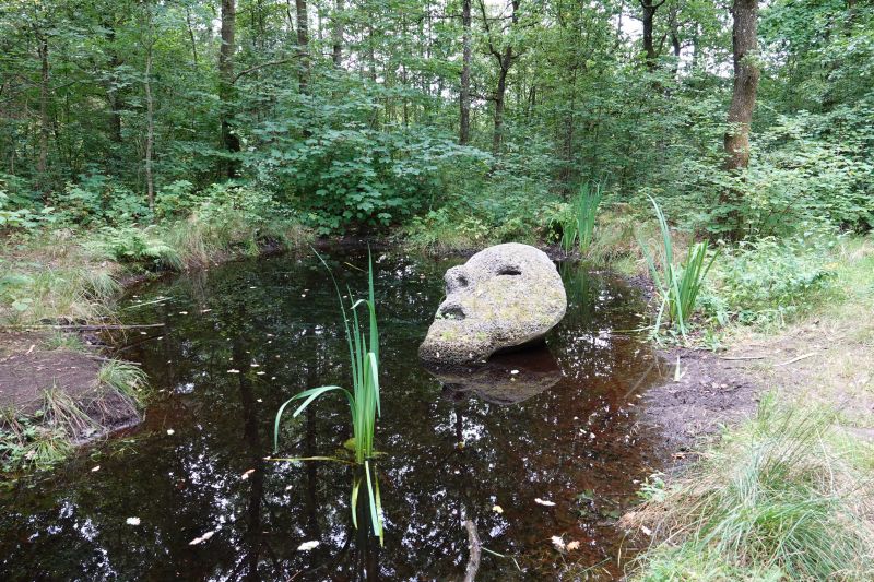 Viewing photos→2023→2023-08-06→09