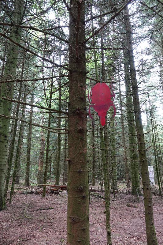 Viewing photos→2023→2023-08-06→19