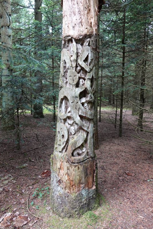 Viewing photos→2023→2023-08-06→22