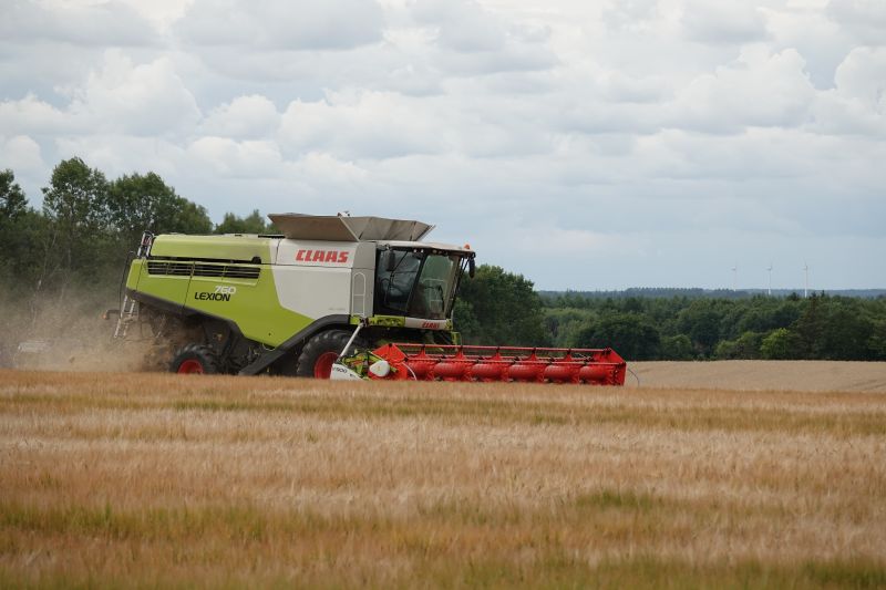 Viewing photos→2023→2023-08-06→25