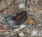 27.jpeg - 2023:08:06 15:02:37