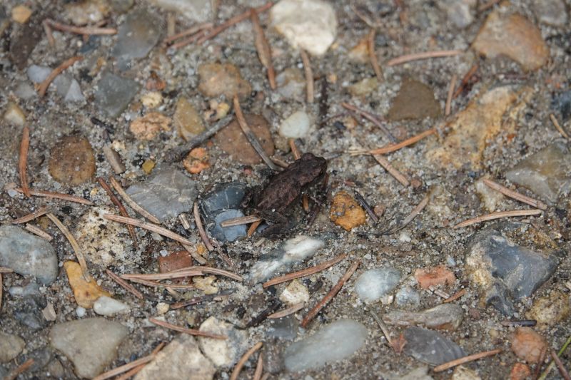 Viewing photos→2023→2023-08-06→27