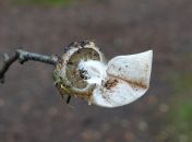 32.jpeg - 2023:08:06 15:33:16