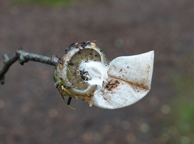 Viewing photos→2023→2023-08-06→32