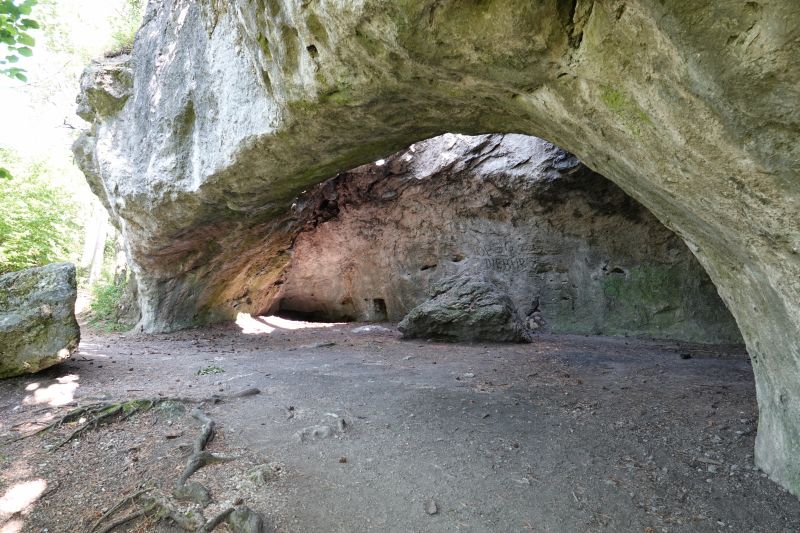 Viewing photos→2023→2023-08-11→24