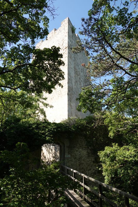 Viewing photos→2023→2023-08-11→25