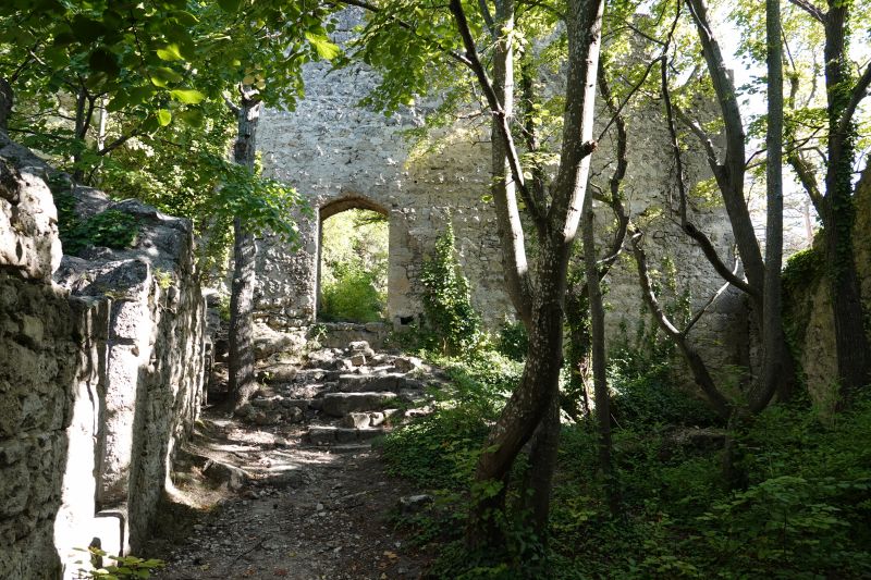 Viewing photos→2023→2023-08-11→28