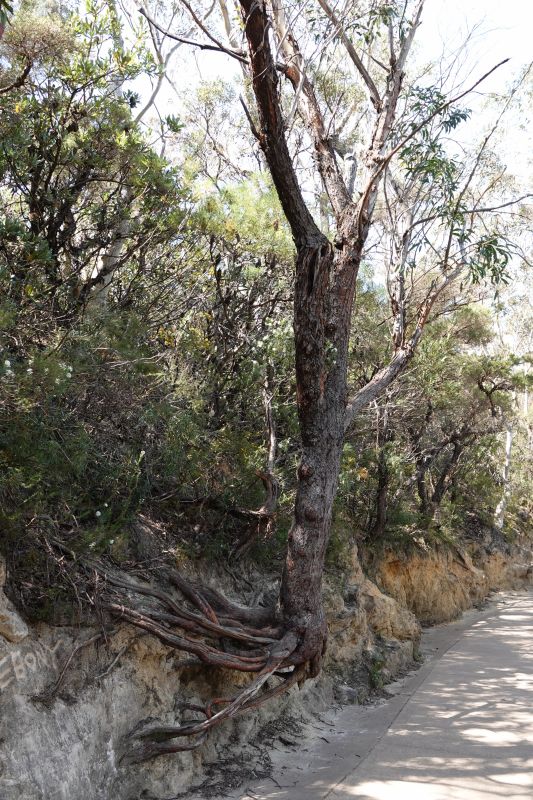 Viewing photos→2023→2023-10-03→04