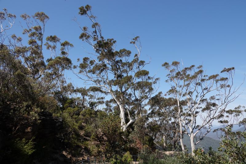 Viewing photos→2023→2023-10-03→06