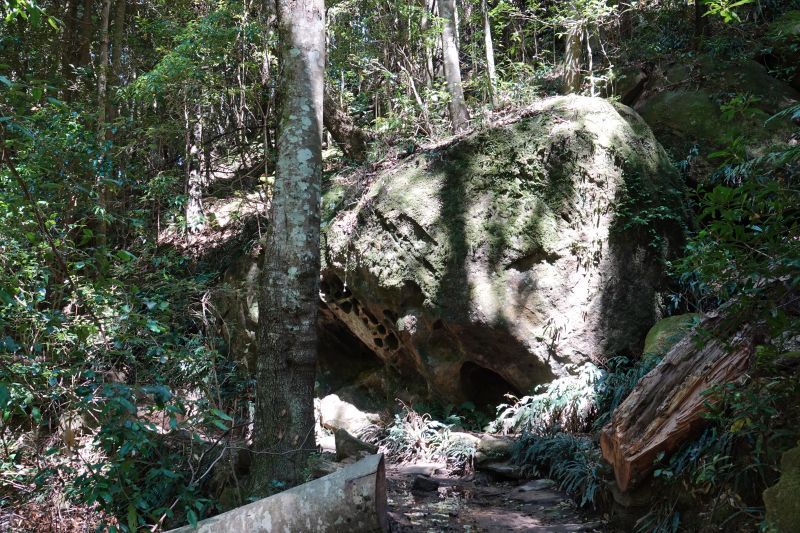 Viewing photos→2023→2023-10-03→11