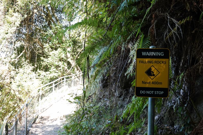 Viewing photos→2023→2023-10-03→13