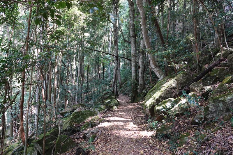 Viewing photos→2023→2023-10-03→22