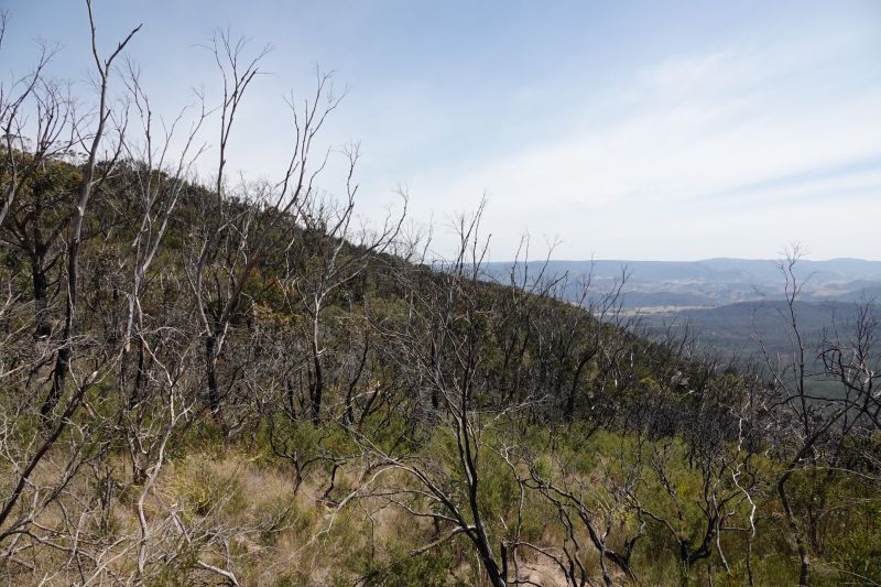 Viewing photos→2023→2023-10-03→24