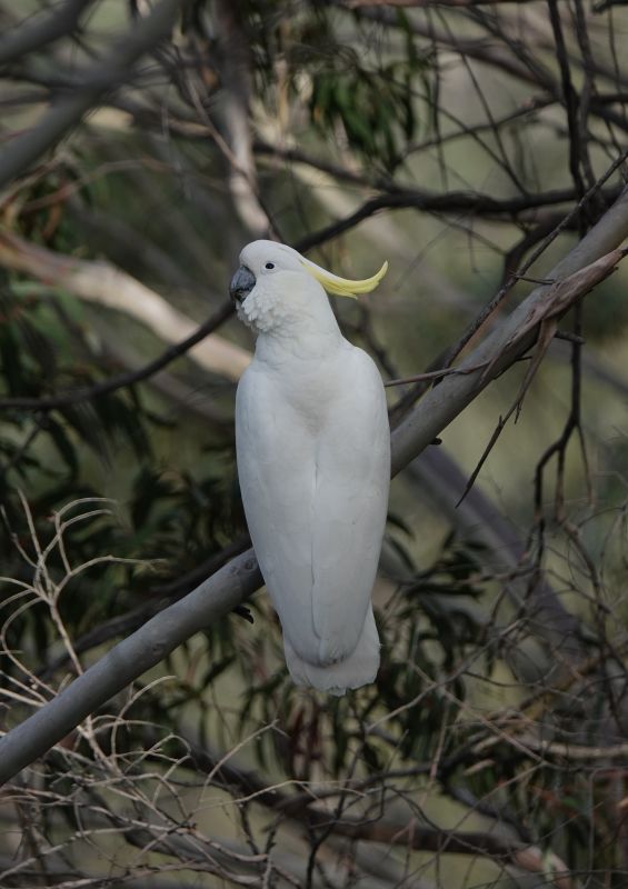 Viewing photos→2023→2023-10-03→34