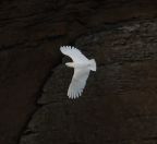 44.jpeg - 2023:10:03 04:35:13