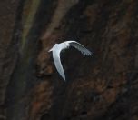 45.jpeg - 2023:10:03 04:35:18