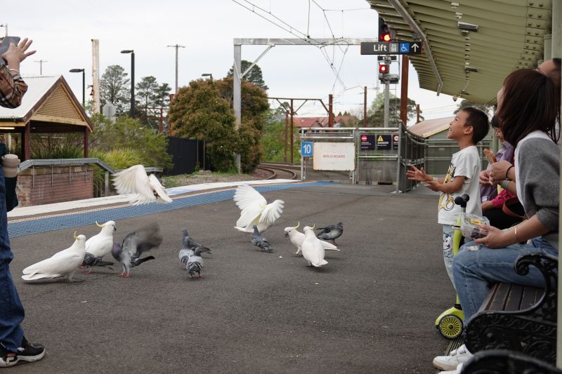 Viewing photos→2023→2023-10-03→58