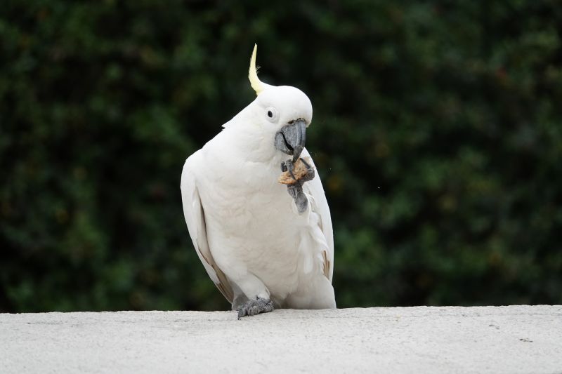 Viewing photos→2023→2023-10-03→62