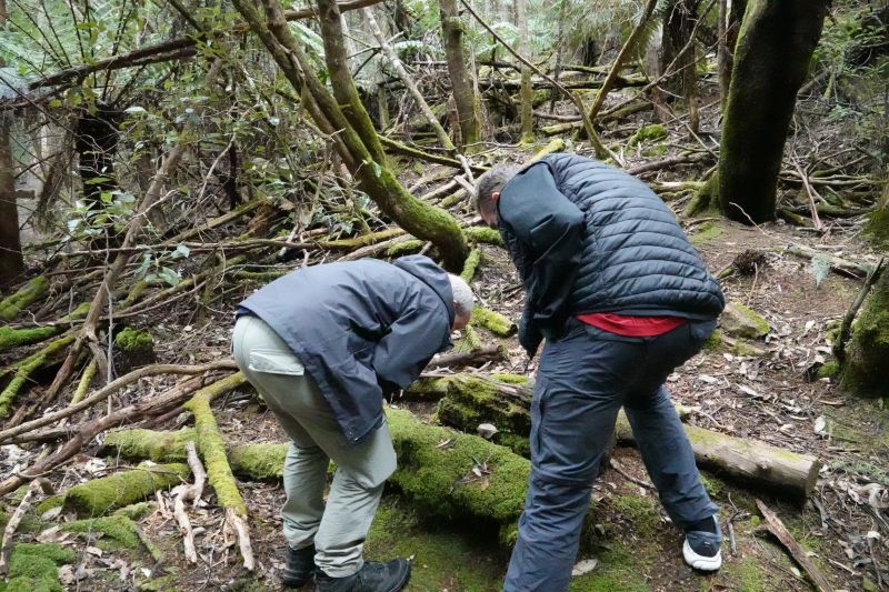 Viewing photos→2023→2023-10-04→02