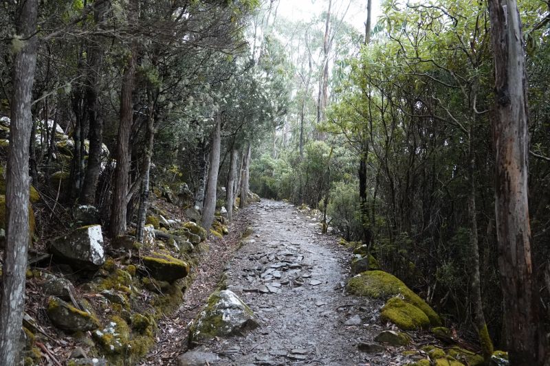 Viewing photos→2023→2023-10-04→04