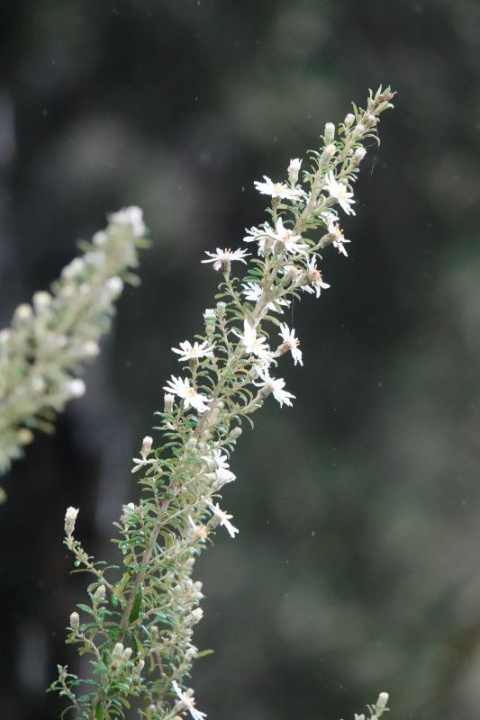 Viewing photos→2023→2023-10-04→10