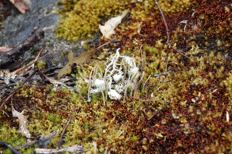 Viewing photos→2023→2023-10-04→13