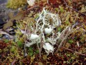 14.jpg - 2023:10:04 02:24:04