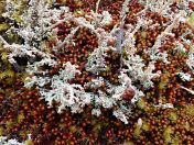 15.jpg - 2023:10:04 02:24:16