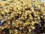 16.jpg - 2023:10:04 02:24:28