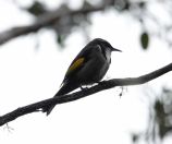 19.jpeg - 2023:10:04 02:30:17