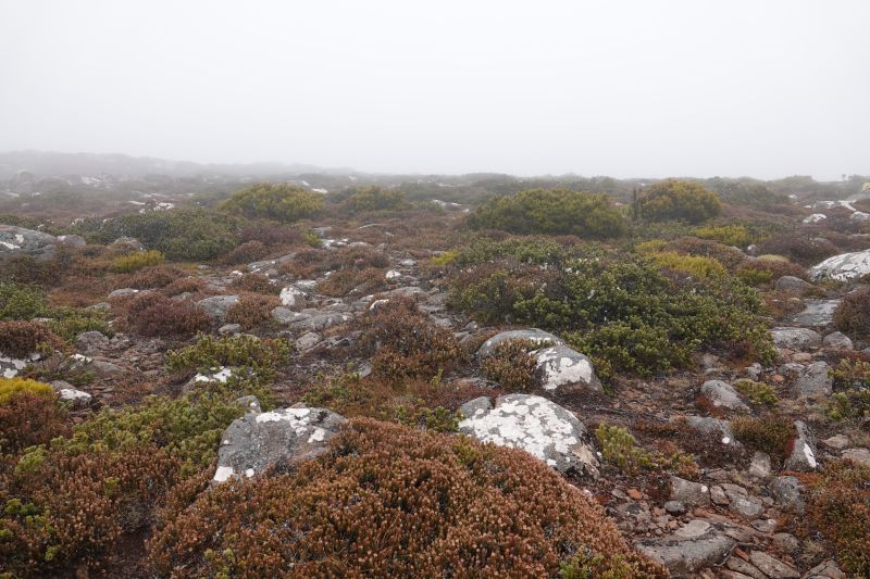 Viewing photos→2023→2023-10-04→25