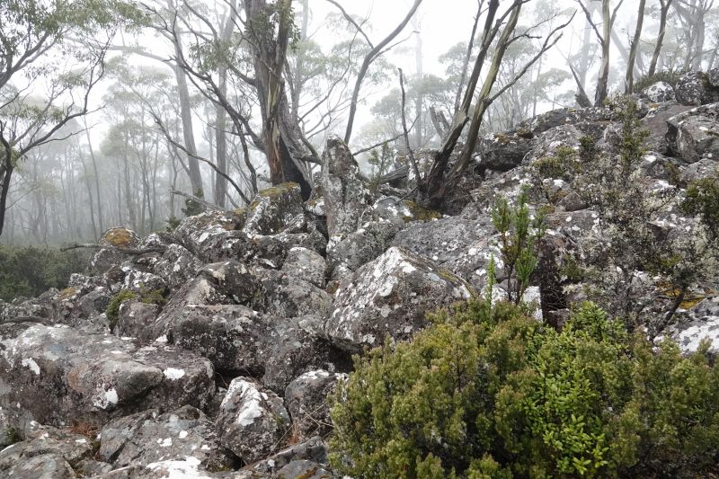 Viewing photos→2023→2023-10-04→27