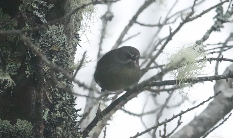 Viewing photos→2023→2023-10-04→29