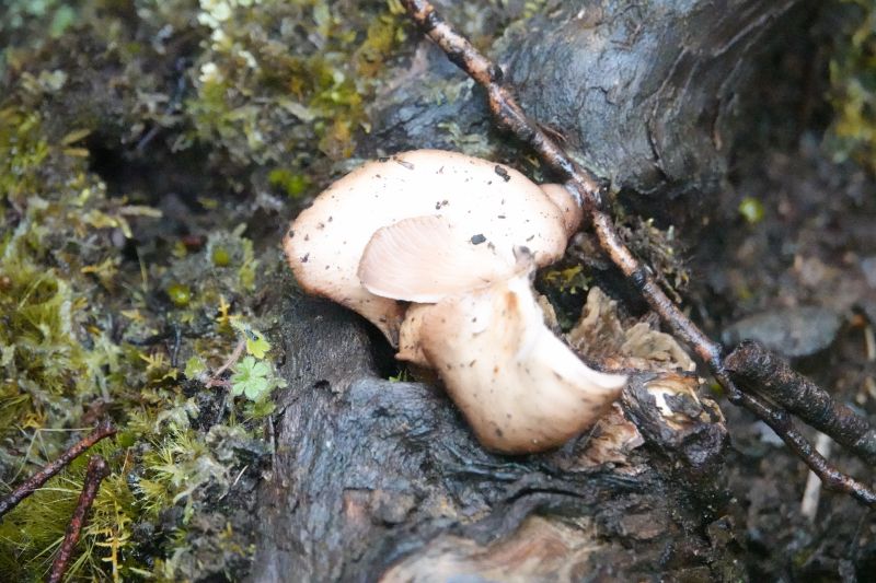 Viewing photos→2023→2023-10-04→31