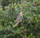 005.jpeg - 2023:10:04 23:06:51