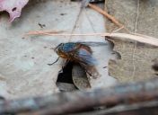 010.jpeg - 2023:10:05 00:25:43