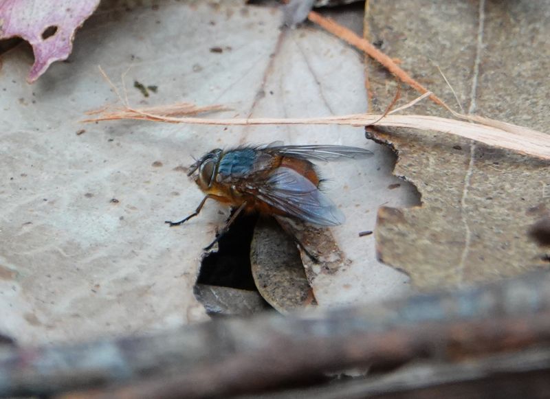 Viewing photos→2023→2023-10-05→010