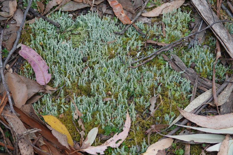 Viewing photos→2023→2023-10-05→012