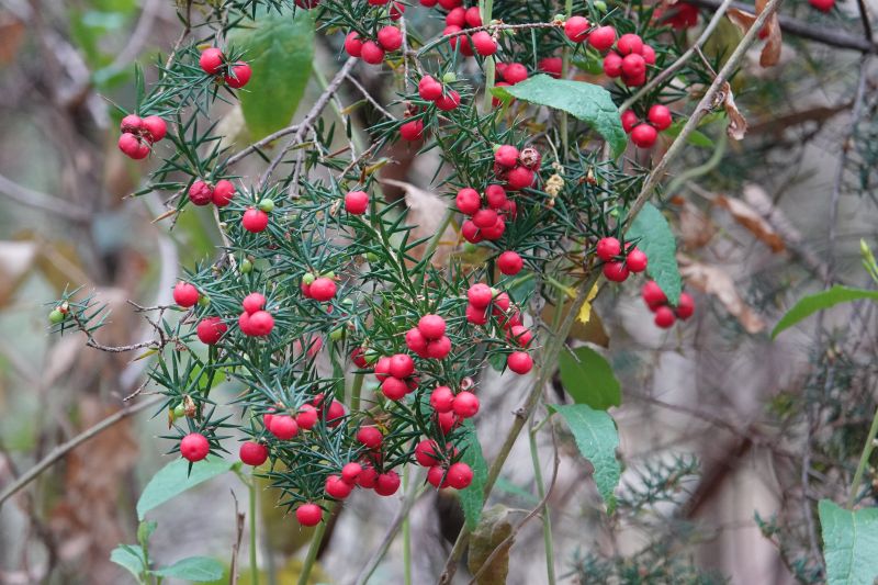 Viewing photos→2023→2023-10-05→014