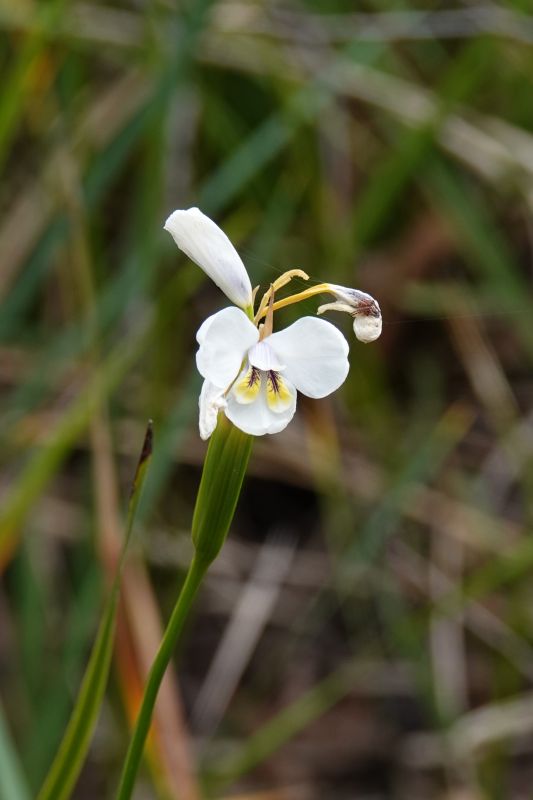 Viewing photos→2023→2023-10-05→016