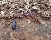 019.jpeg - 2023:10:05 00:56:41