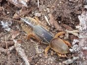 020.jpg - 2023:10:05 00:58:06