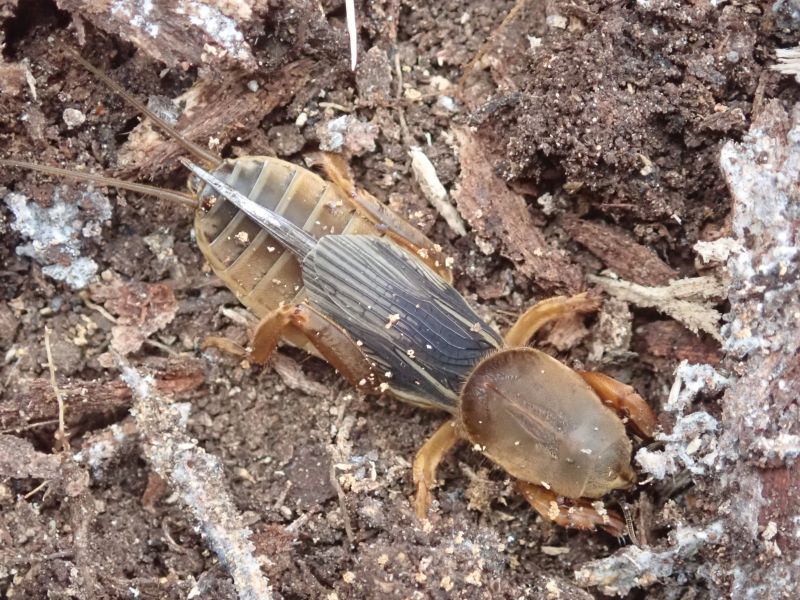 Viewing photos→2023→2023-10-05→020