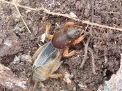 022.jpg - 2023:10:05 00:58:21