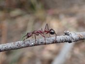 023.jpg - 2023:10:05 01:00:55