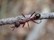 024.jpg - 2023:10:05 01:01:04