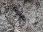 031.jpeg - 2023:10:05 01:44:31