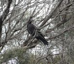 059.jpeg - 2023:10:05 03:06:42