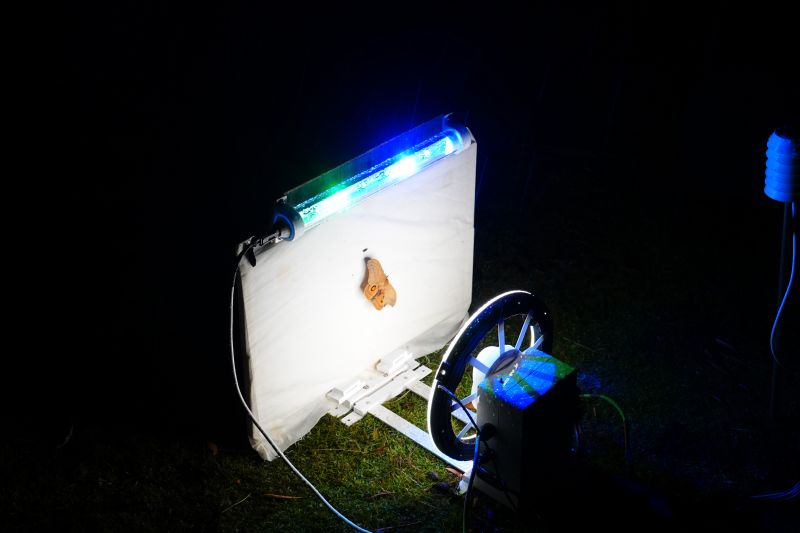 Viewing photos→2023→2023-10-05→081