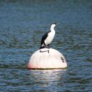 093.jpeg - 2023:10:10 23:16:57